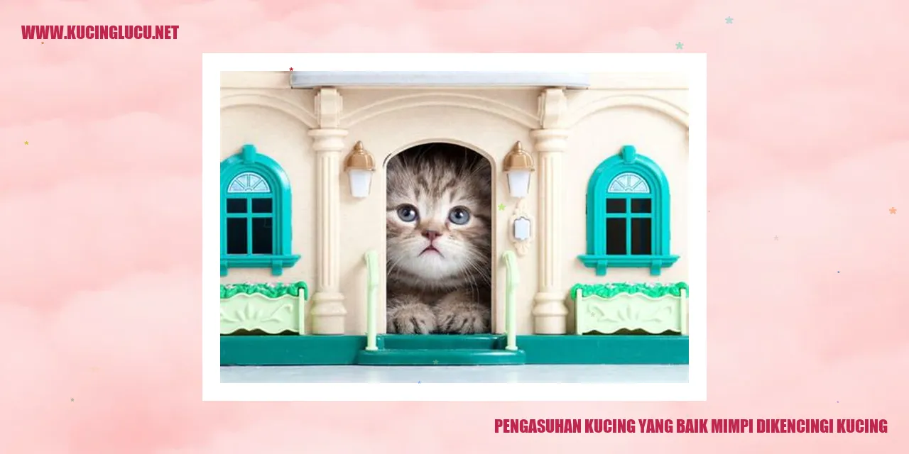 Gambar Kucing yang Sehat dan Bahagia