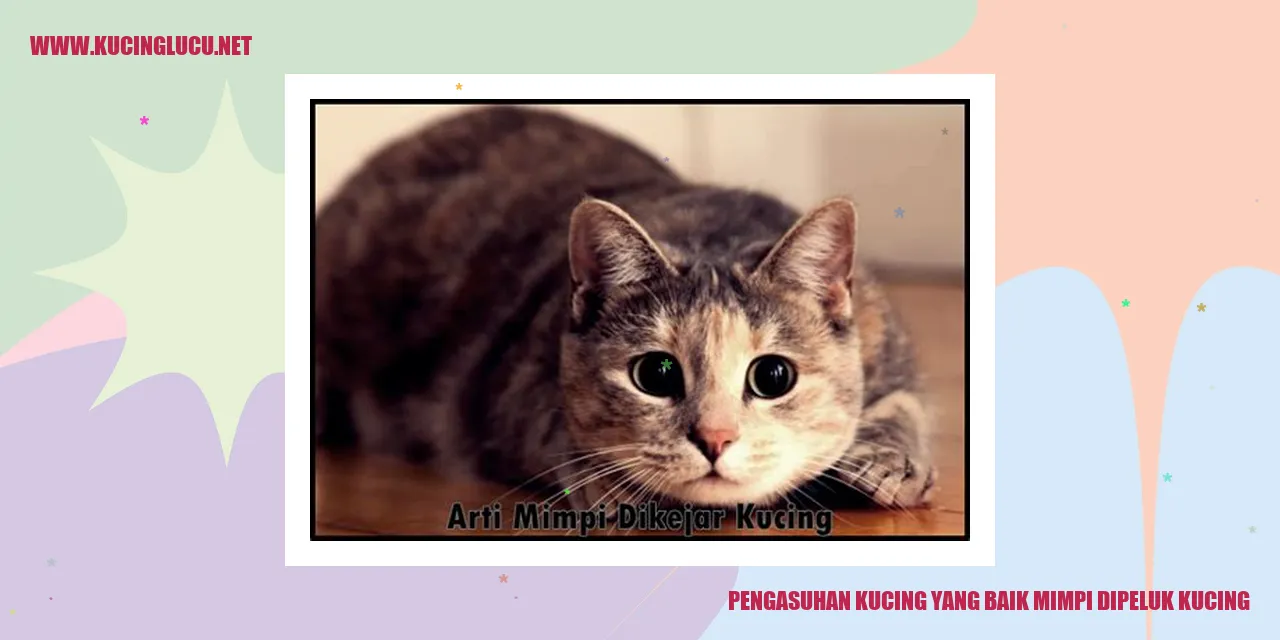 Kucing Lucu