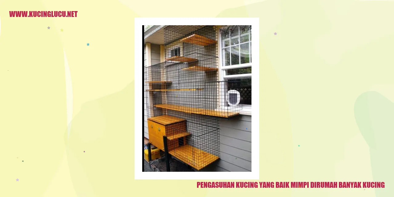 Kucing bahagia dan sehat