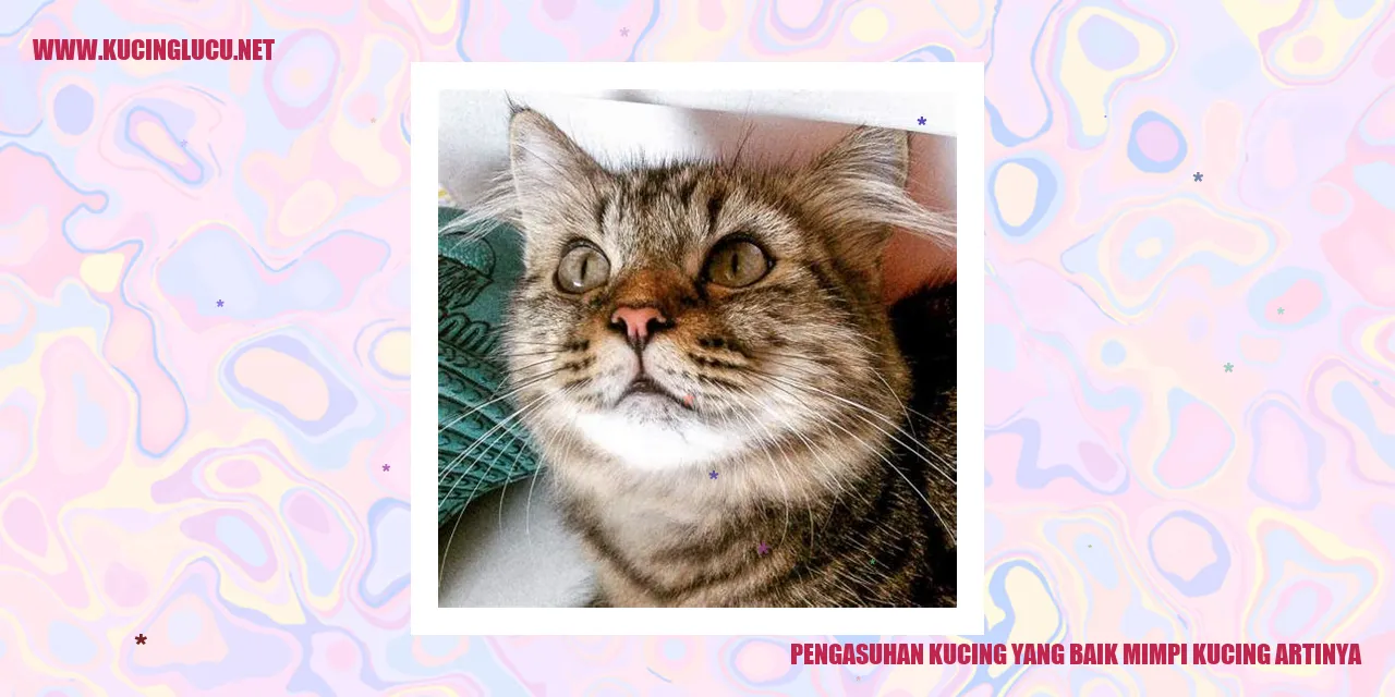 Kucing yang Bahagia