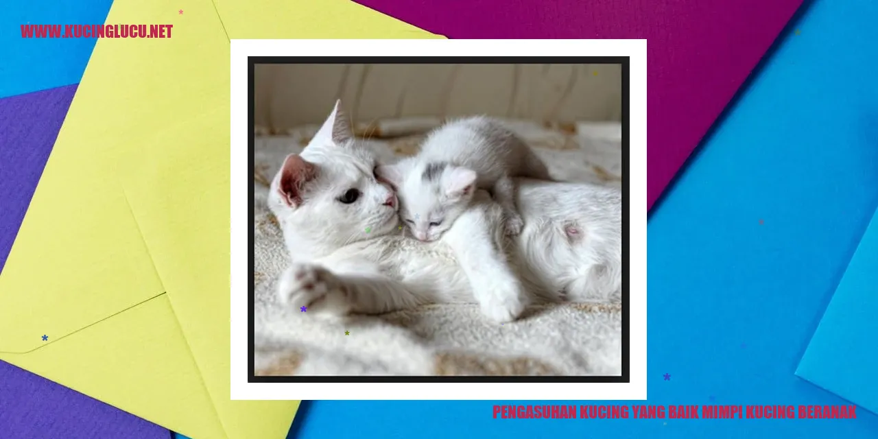 Kucing beranak