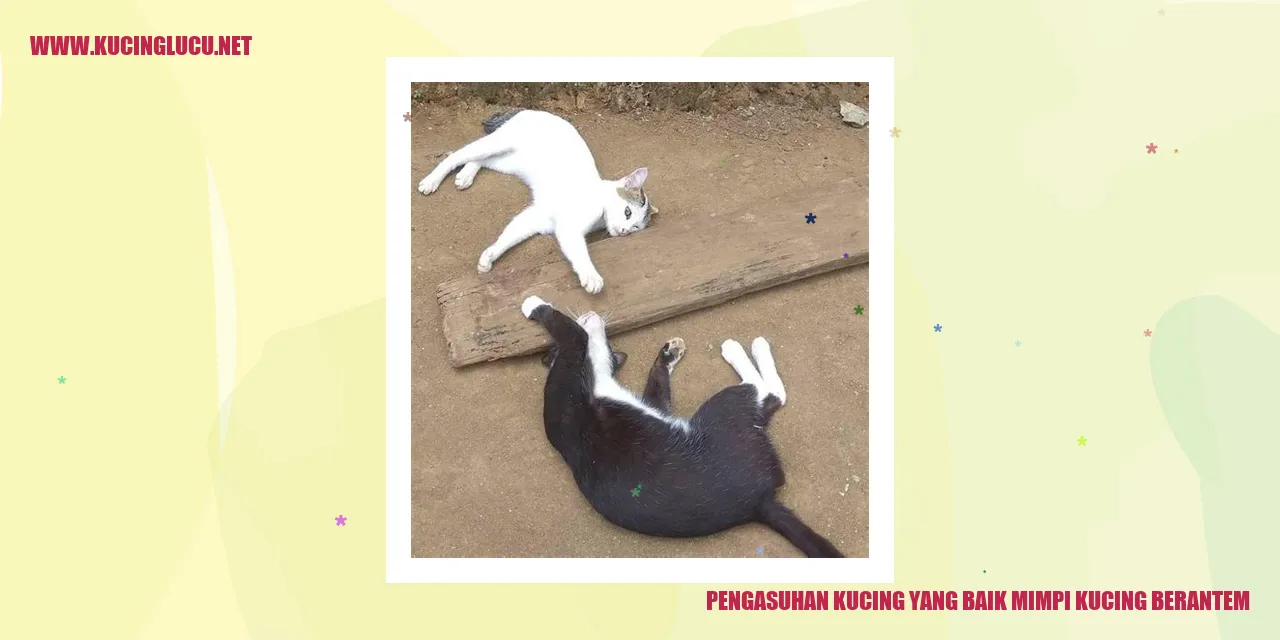 Ilustrasi kucing sedang bertengkar