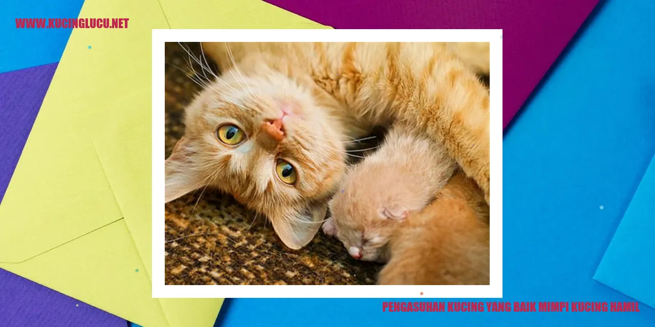Gambar Kucing