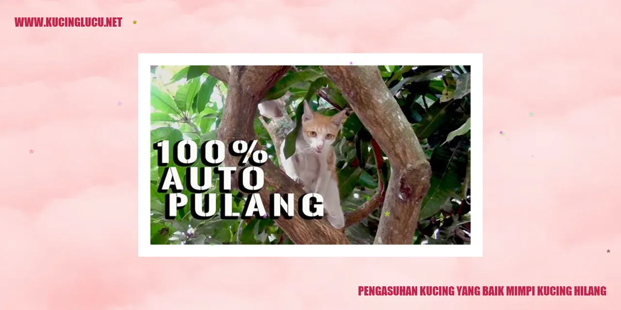Kucing Lucu