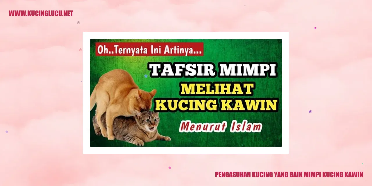 Gambar Kucing Kawin