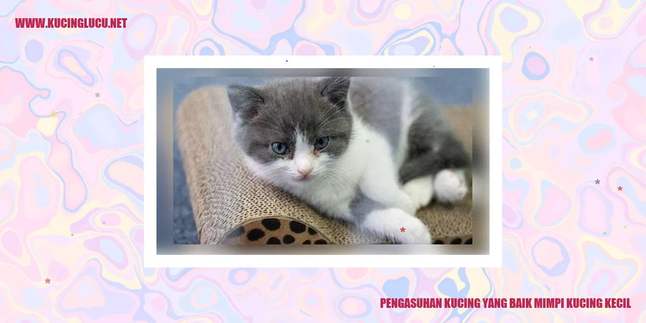 Gambar kucing kecil yang menggemaskan