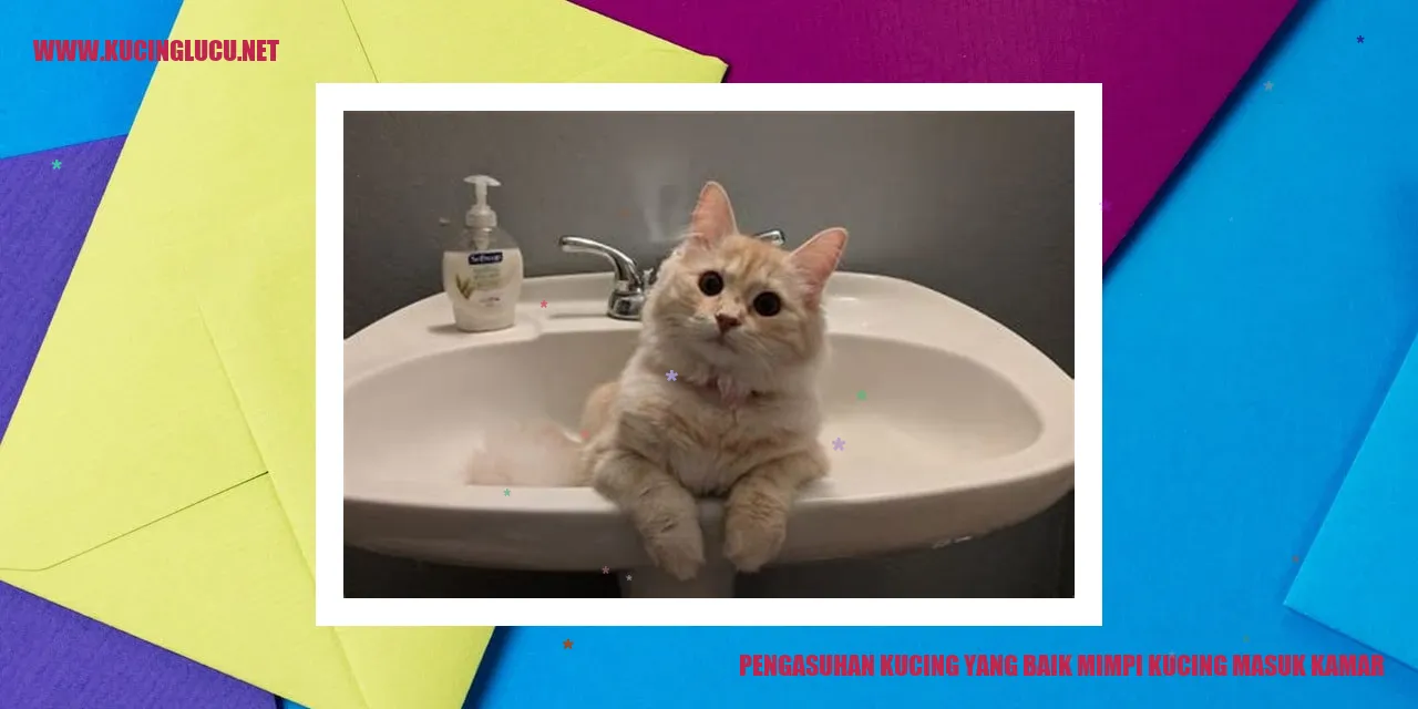Kucing Masuk Kamar