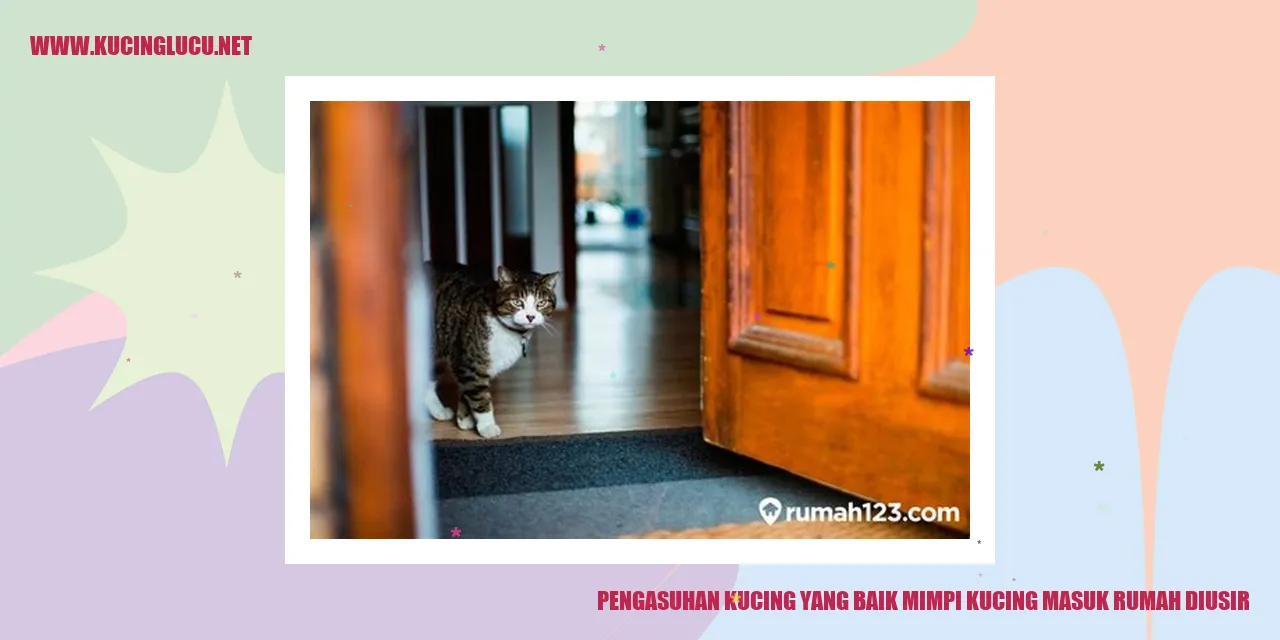 Gambar kucing