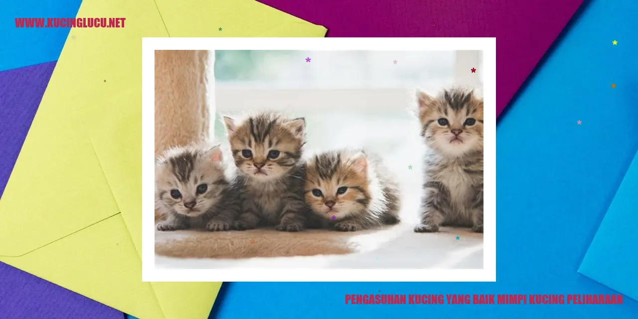 Kucing Lucu