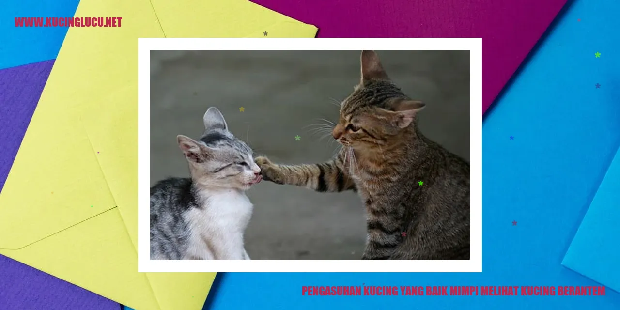 mimpi melihat kucing berantem