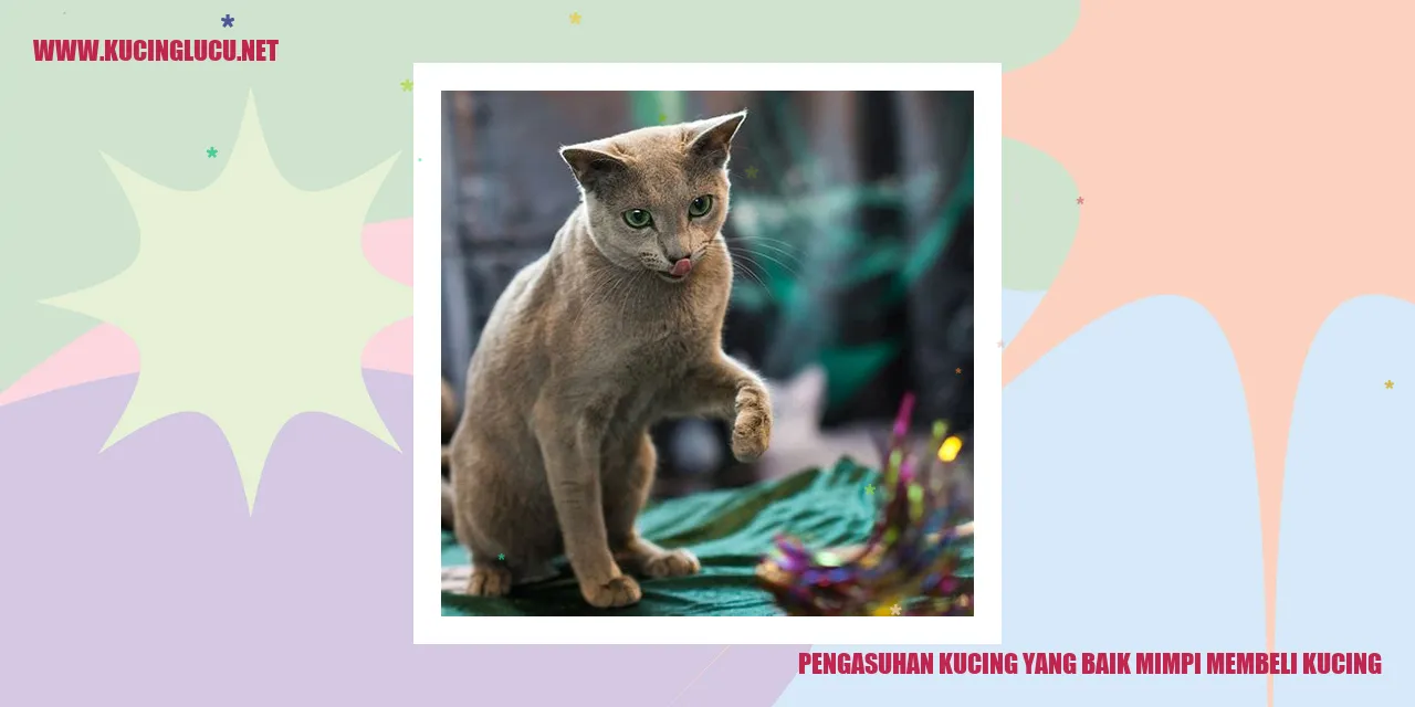 Gambar Kucing