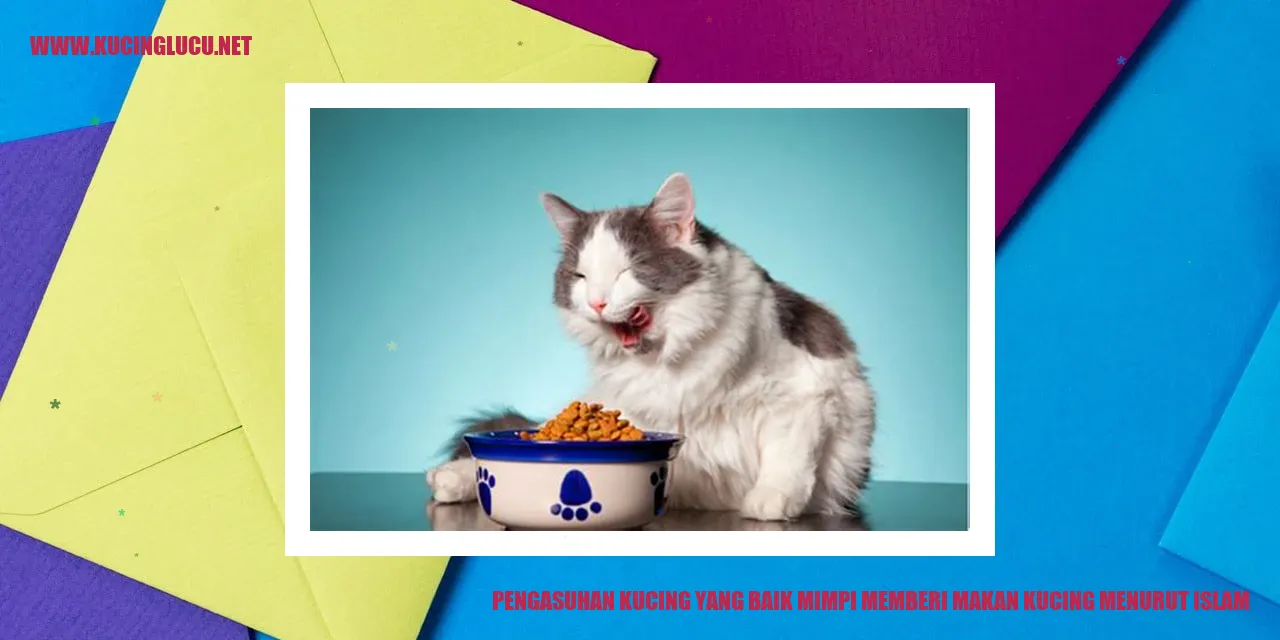 Gambar seekor kucing mendapatkan makanan dari seorang Muslim