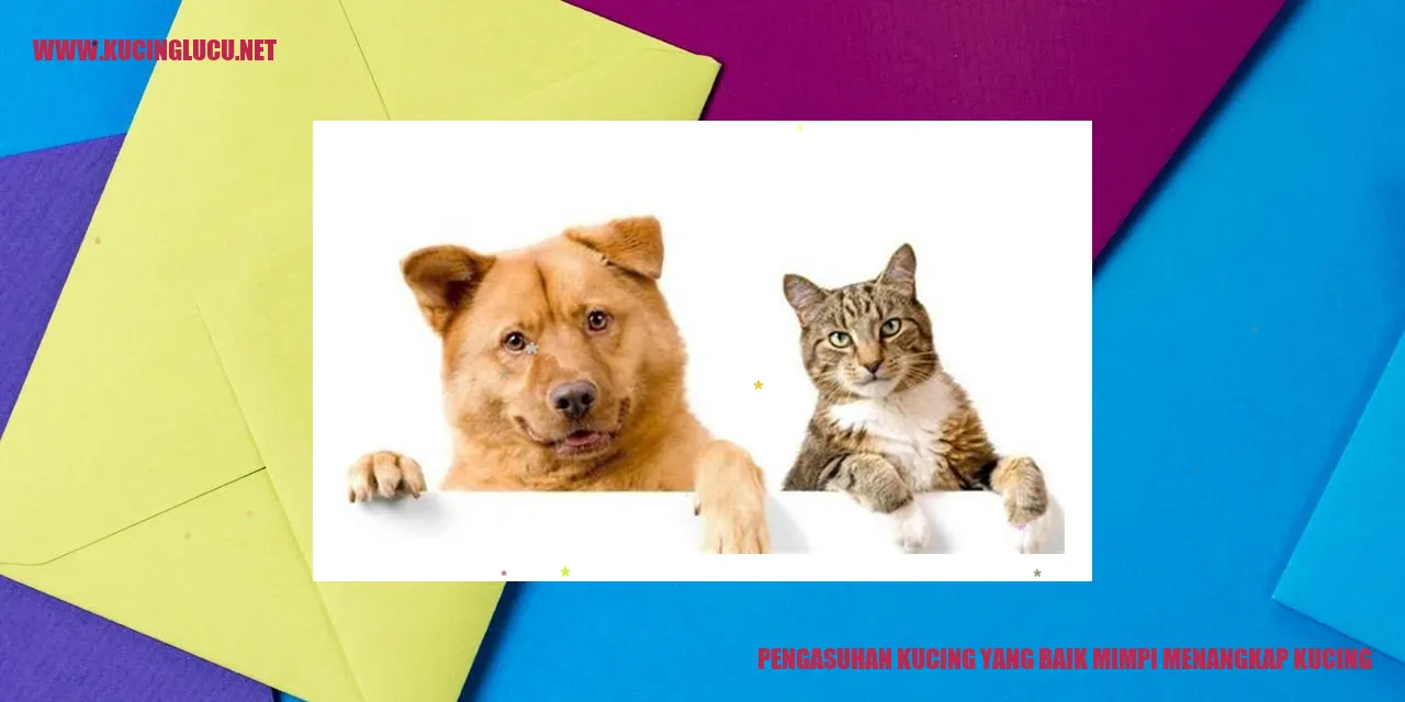 Pengasuhan Kucing yang Baik mimpi menangkap kucing
