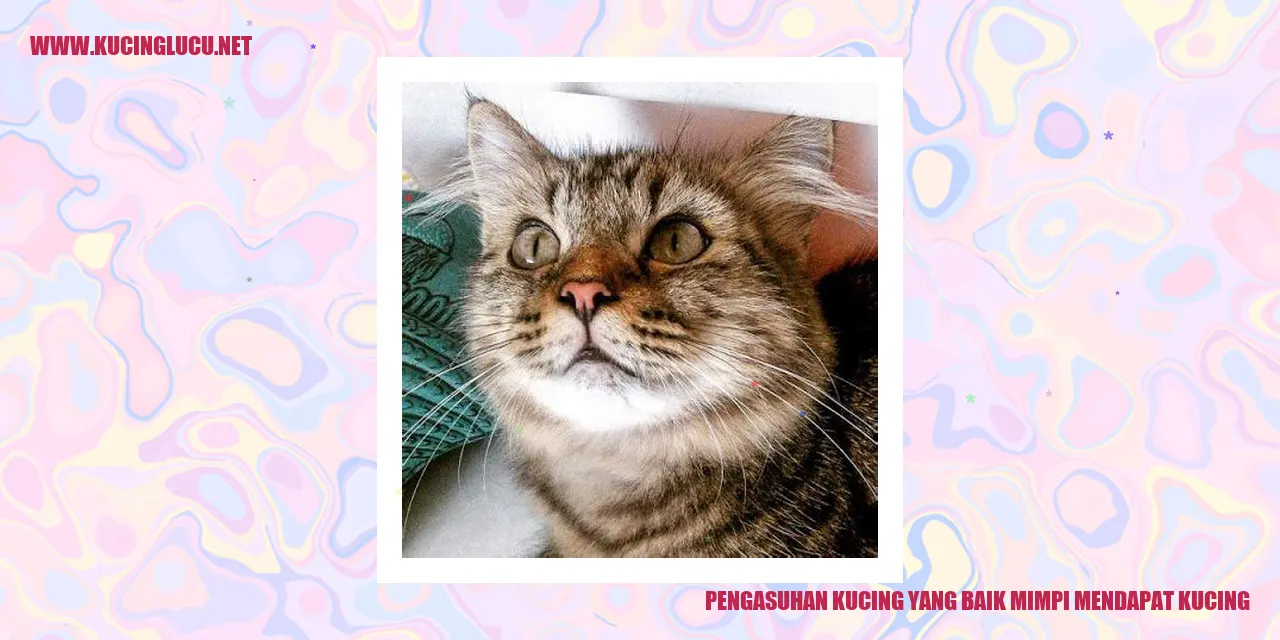 Panduan Pengasuhan Kucing yang Baik: Mewujudkan Mimpi Memiliki Kucing