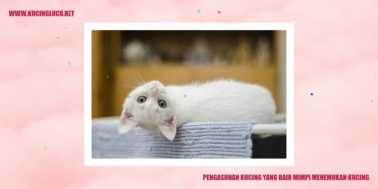 Foto Kucing Bahagia