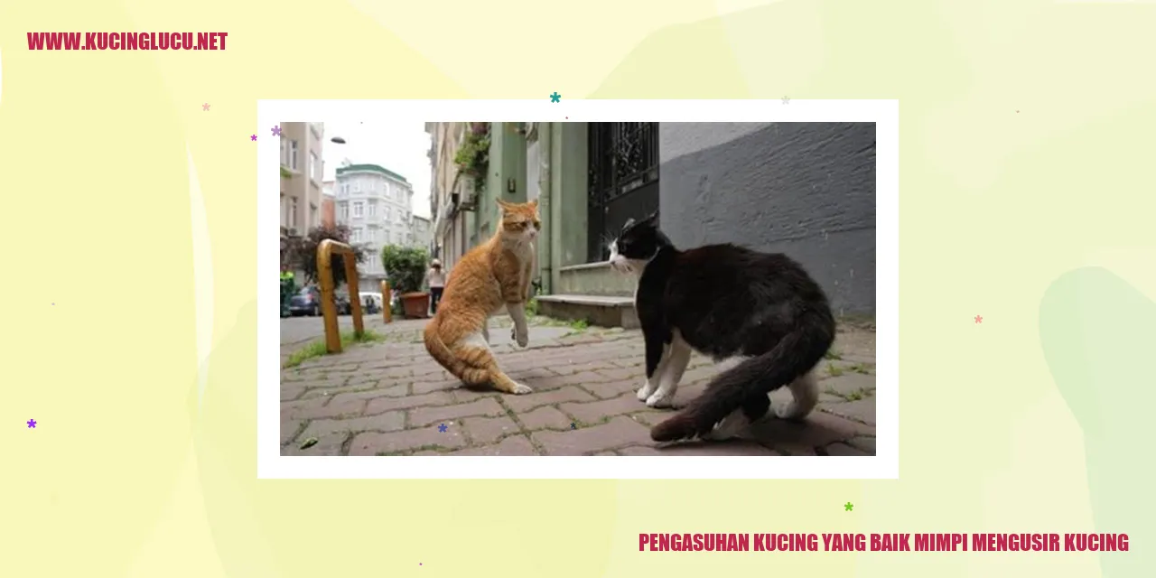 Pengasuhan yang Memadai untuk Kucing