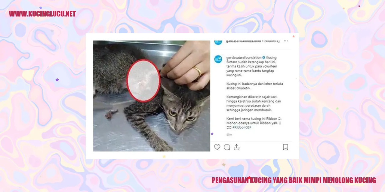 Pengasuhan Kucing yang Baik mimpi menolong kucing