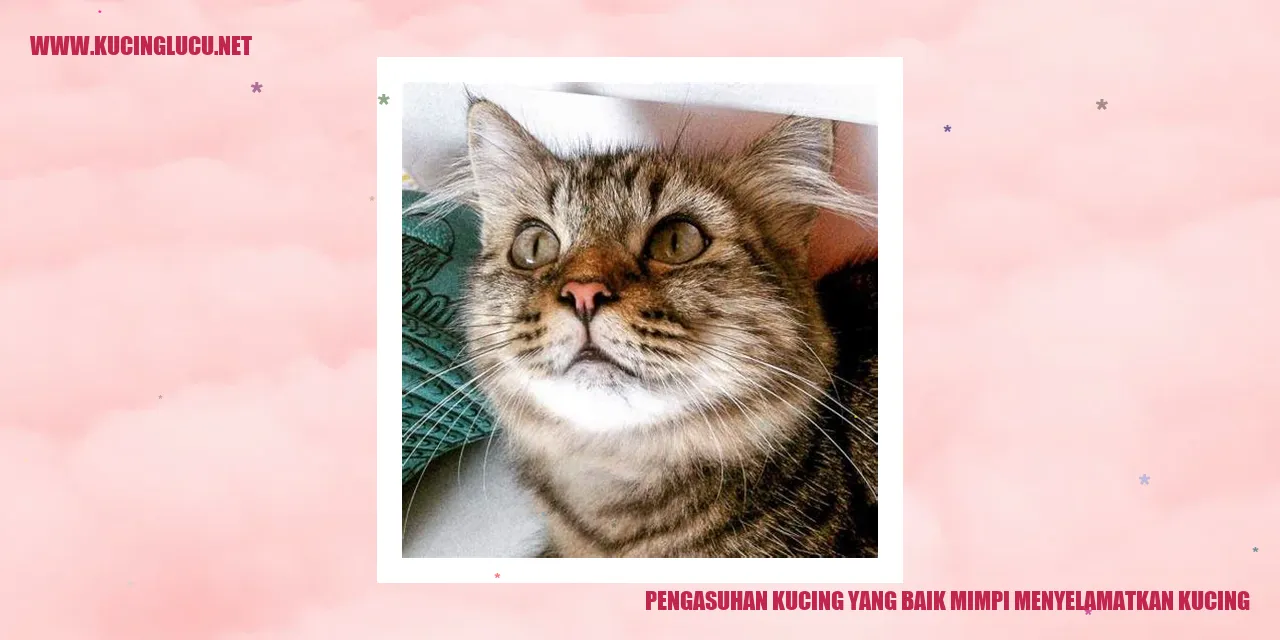 Perawatan yang Baik bagi Kucing: Menyelamatkan Kucing