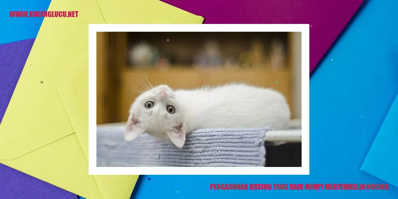 Foto Kucing