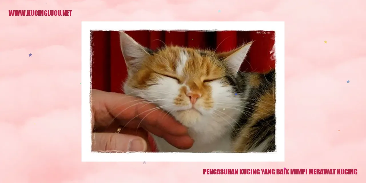 Gambar Kucing Lucu