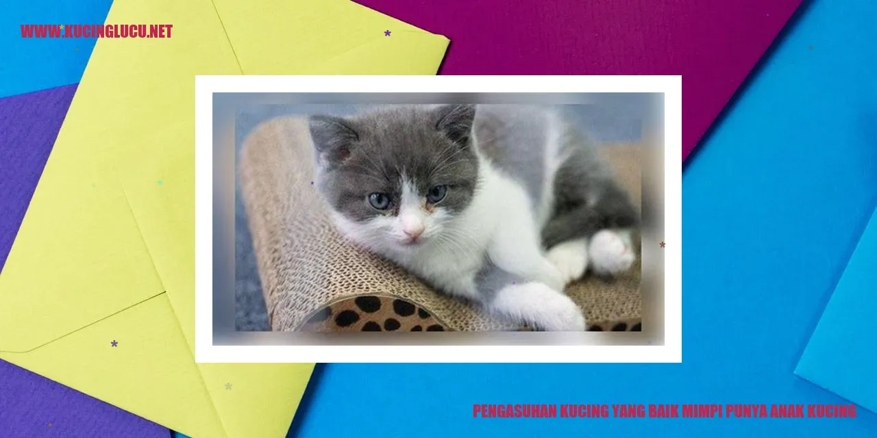 Gambar Kucing Lucu