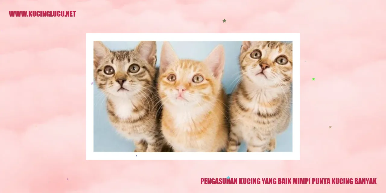 kucing yang bahagia