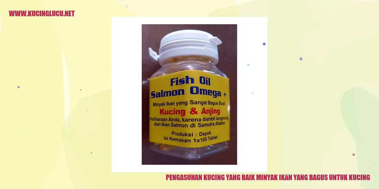 Minyak Ikan untuk Kucing