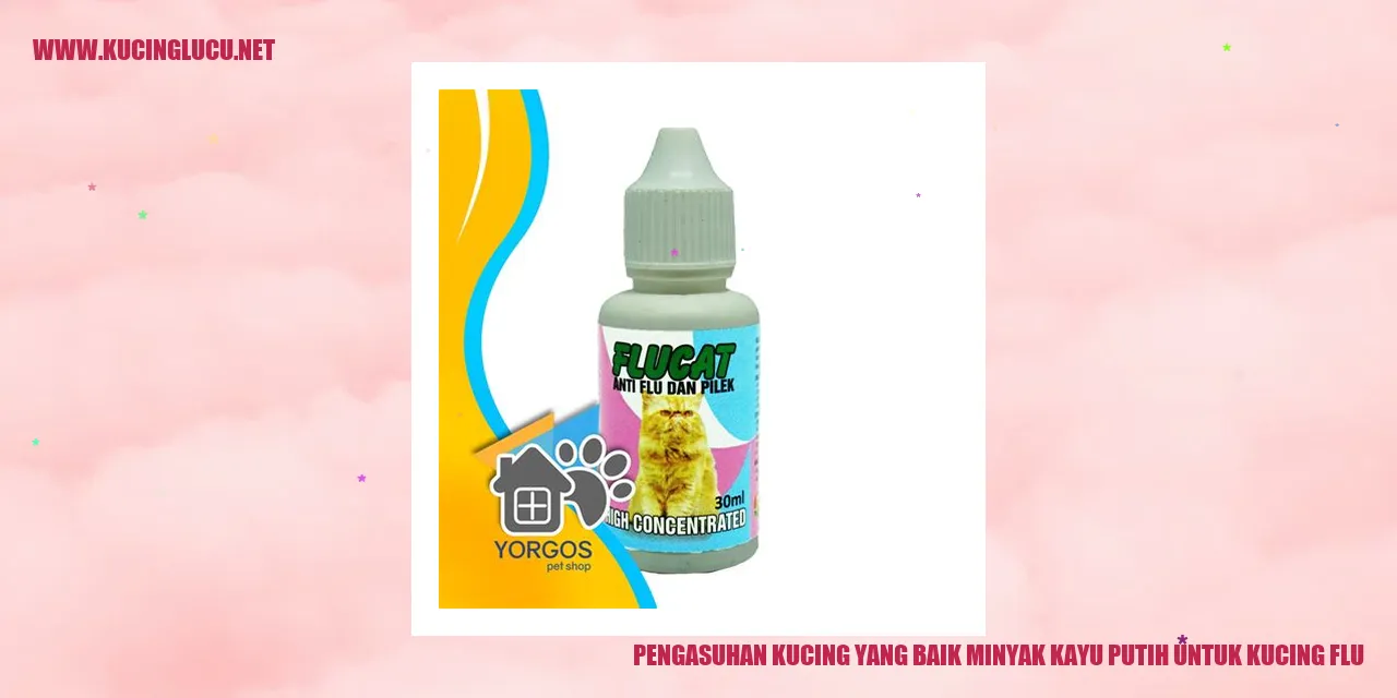 Gambar Kucing