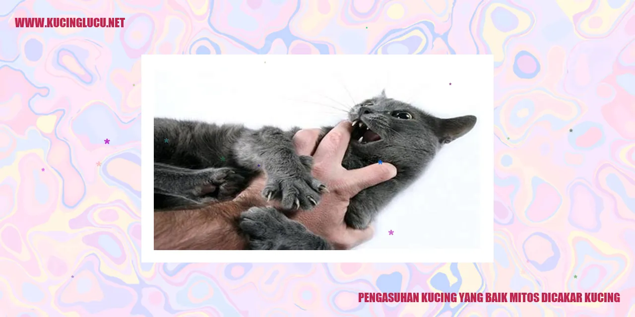 Gambarkan Kucing yang Sehat dan Bahagia