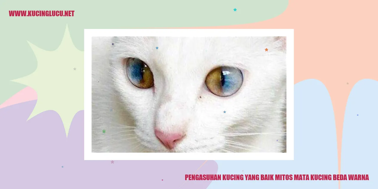Pengasuhan Kucing yang Baik