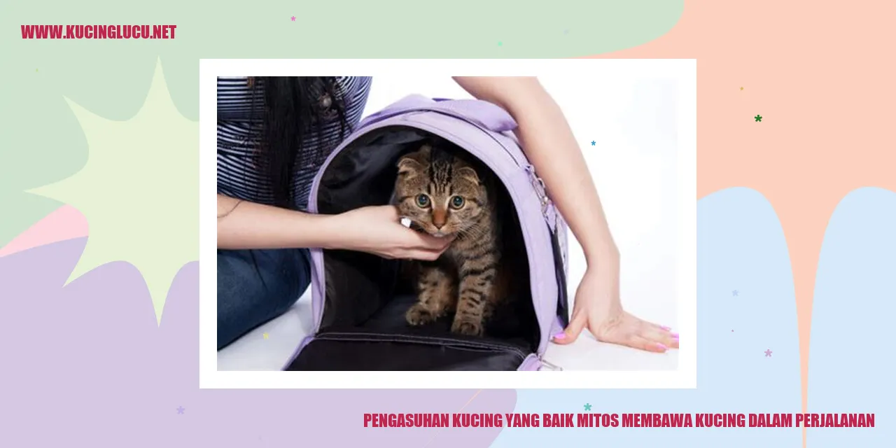 Kucing dalam perjalanan