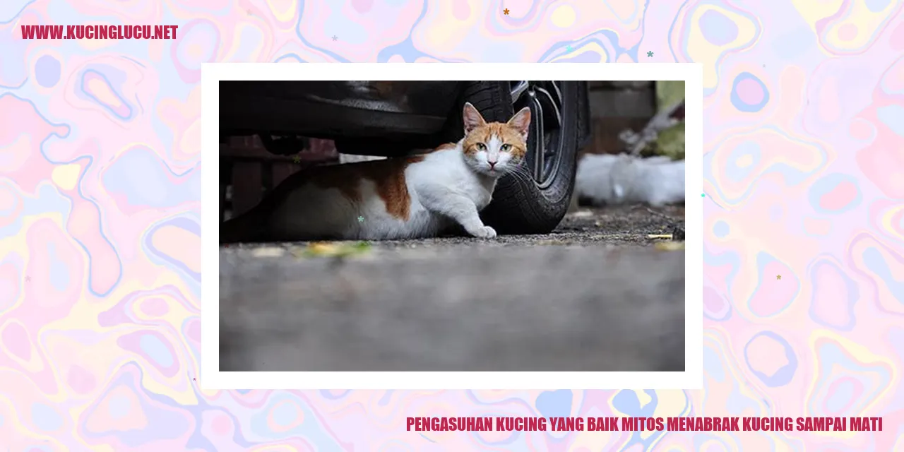 Perawatan Kucing yang Baik