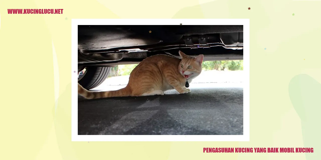 Pengasuhan Kucing yang Baik