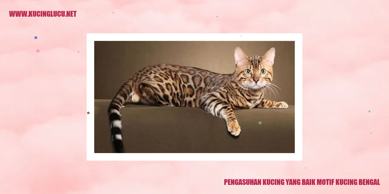 Motif Kucing Bengal yang Menarik