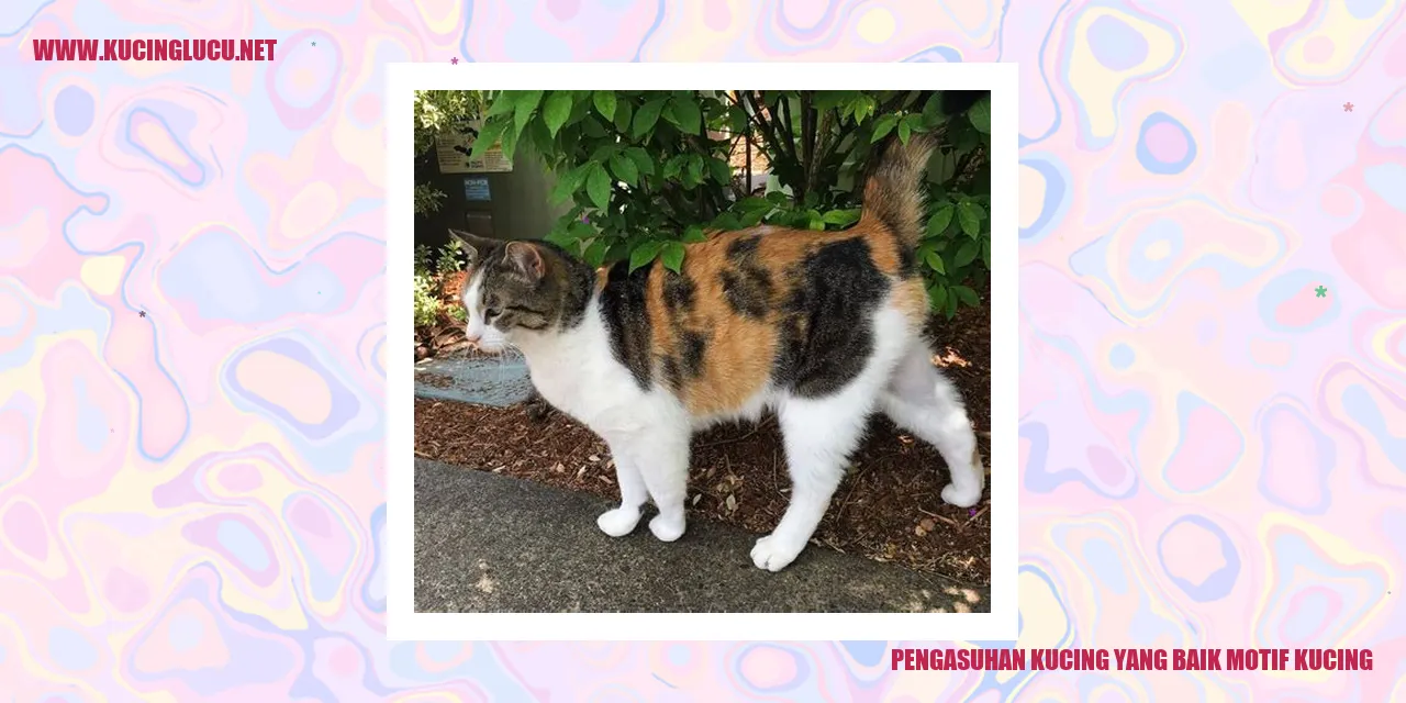 Pengasuhan Kucing yang Baik motif kucing