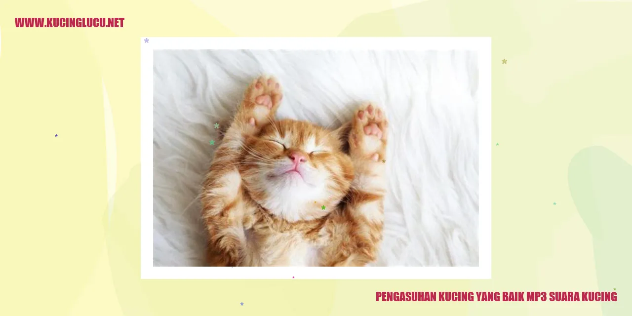 Gambar Kucing yang Menggemaskan