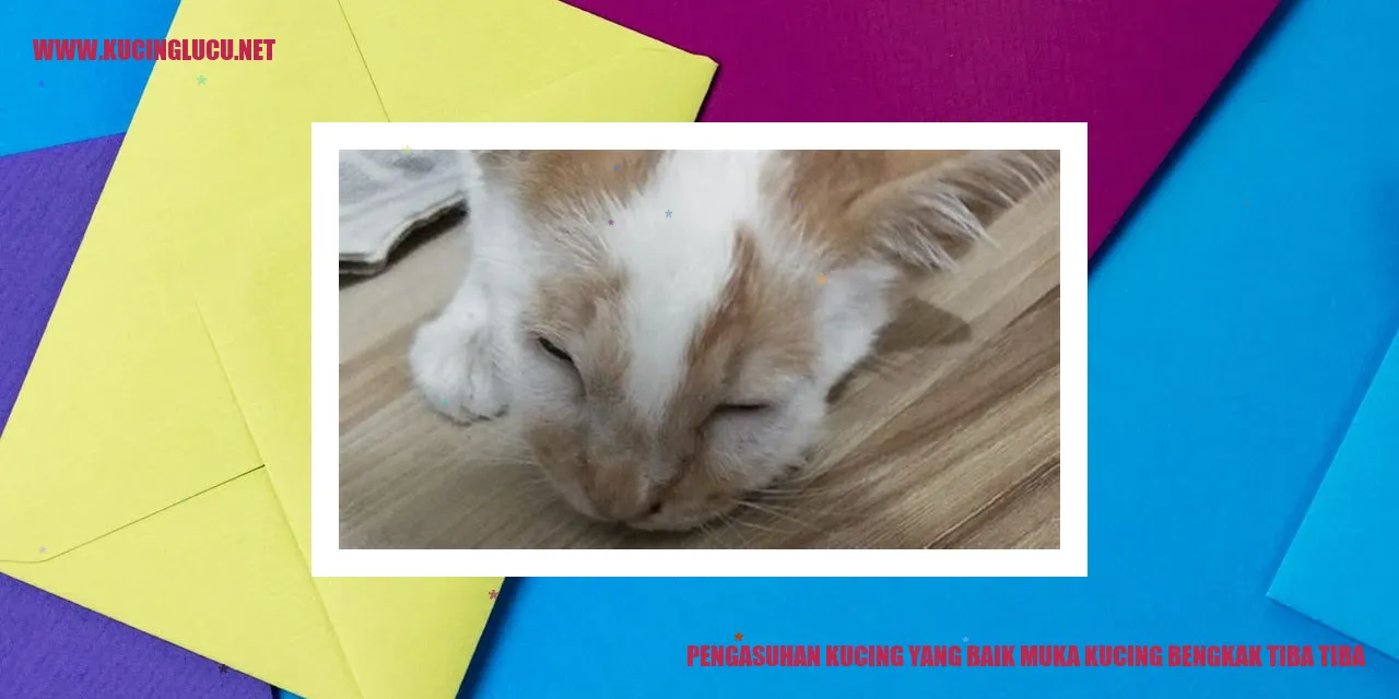 Muka Kucing Bengkak