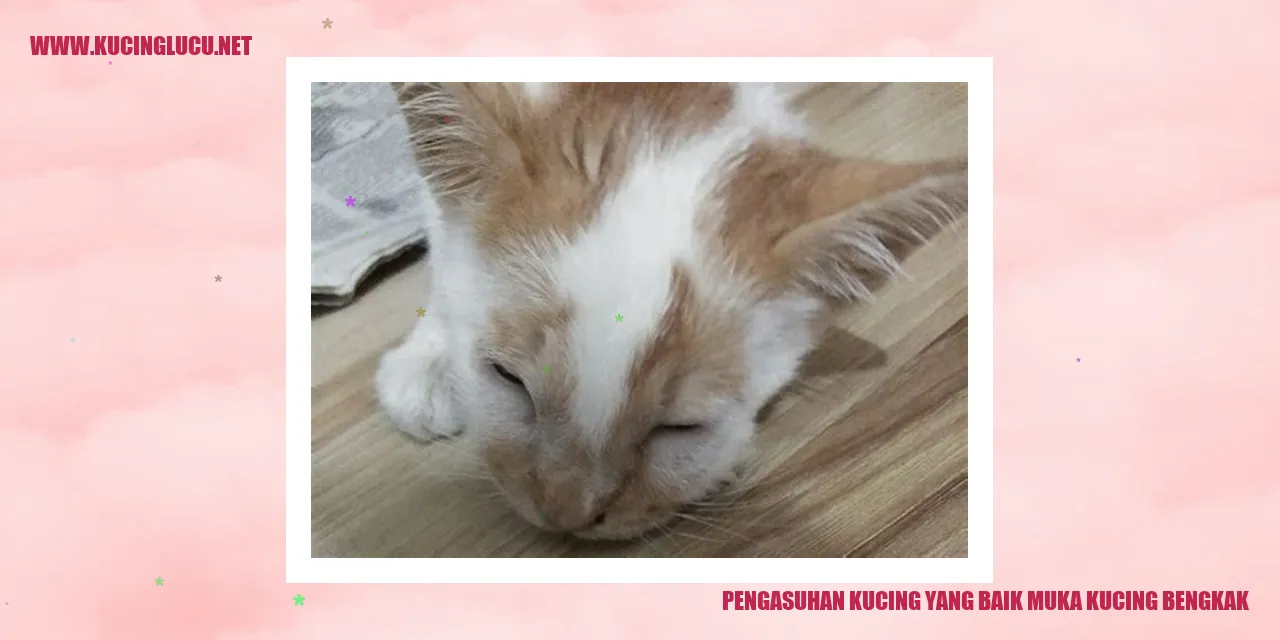 Kucing Sehat