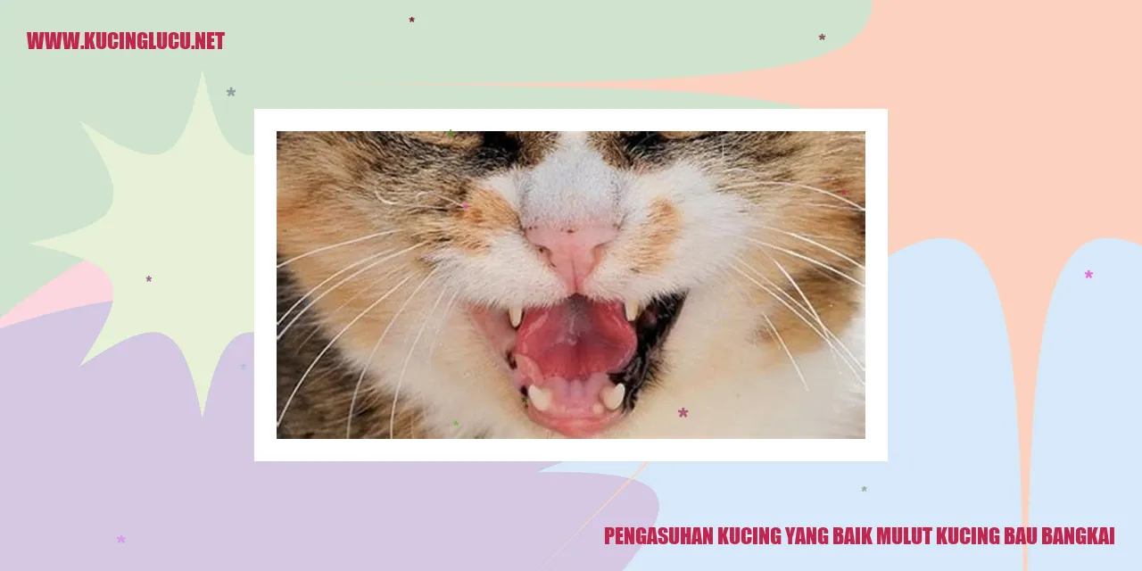 Gambar Kucing Sehat