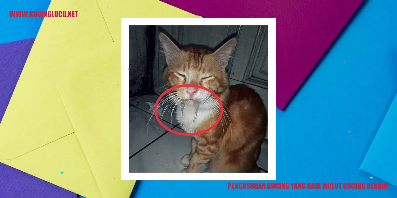 Gambar Kucing yang Sehat