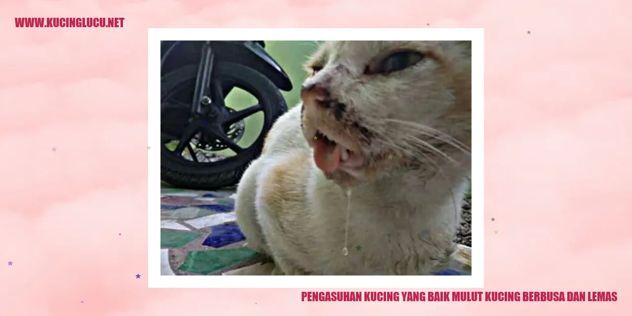 Pengasuhan Kucing yang Baik - mulut kucing berbusa dan lemas