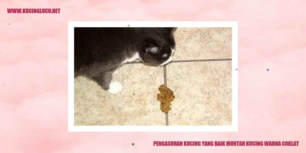 Kucing Muntah Warna Coklat