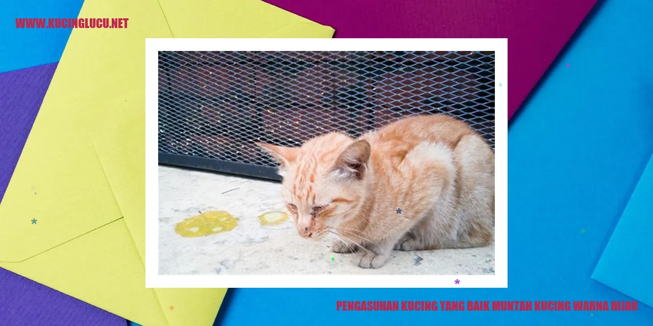 Seekor kucing yang mengalami muntah warna hijau