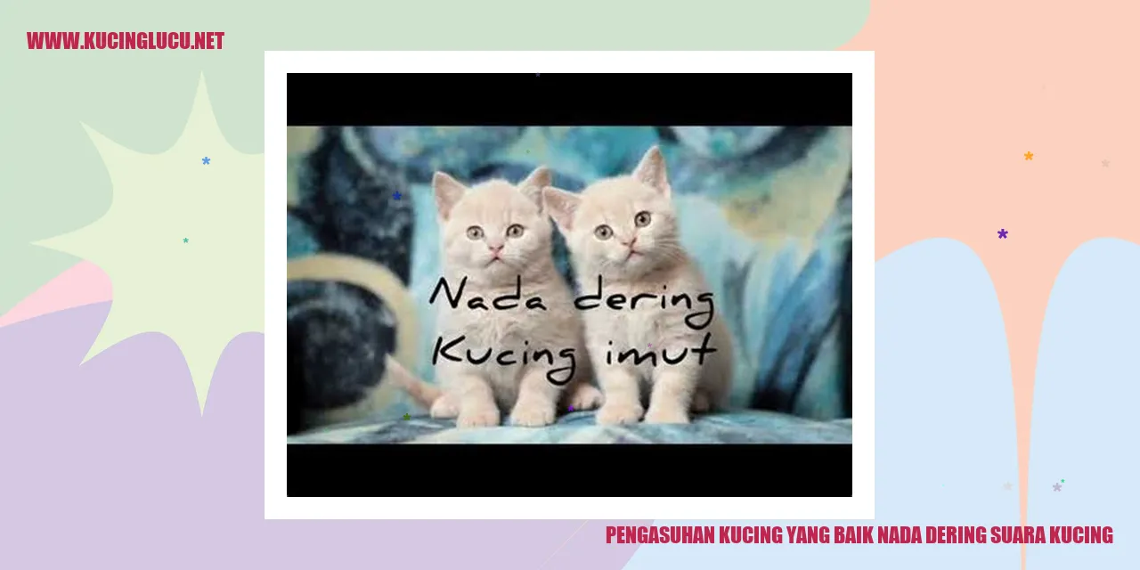 Gambar kucing menggemaskan
