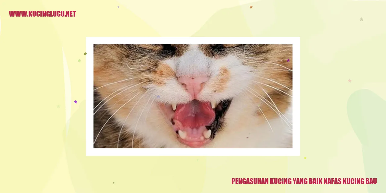 Kucing Sehat