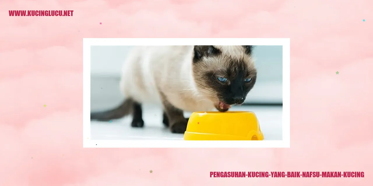 Gambar Kucing yang Sedang Sedang Makan di Tengah Kamar Mandi