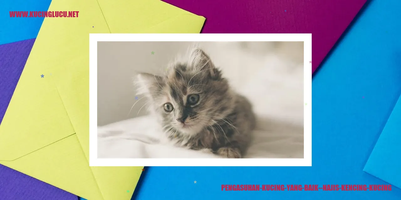 Gambar kucing menjelaskan pentingnya mengasuh kucing dengan baik