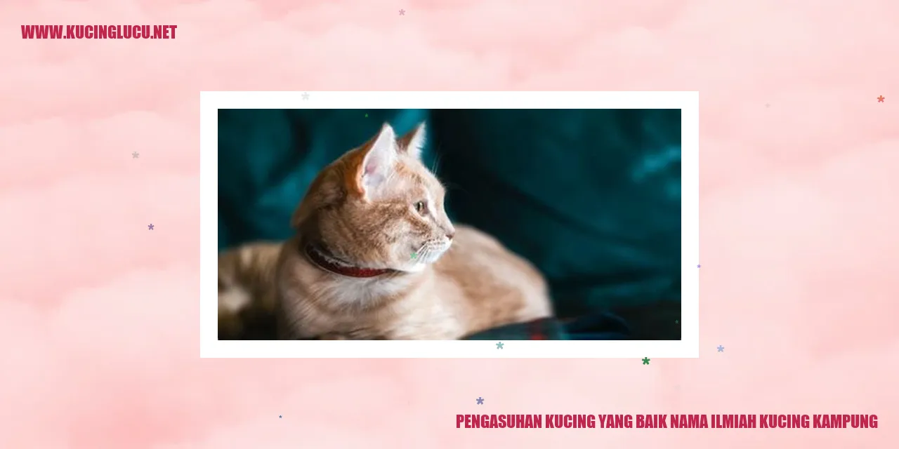 Pengasuhan Kucing yang Baik nama ilmiah kucing kampung