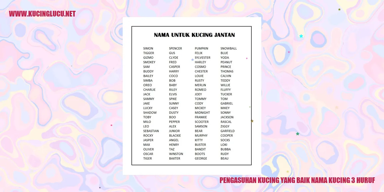 Kucing