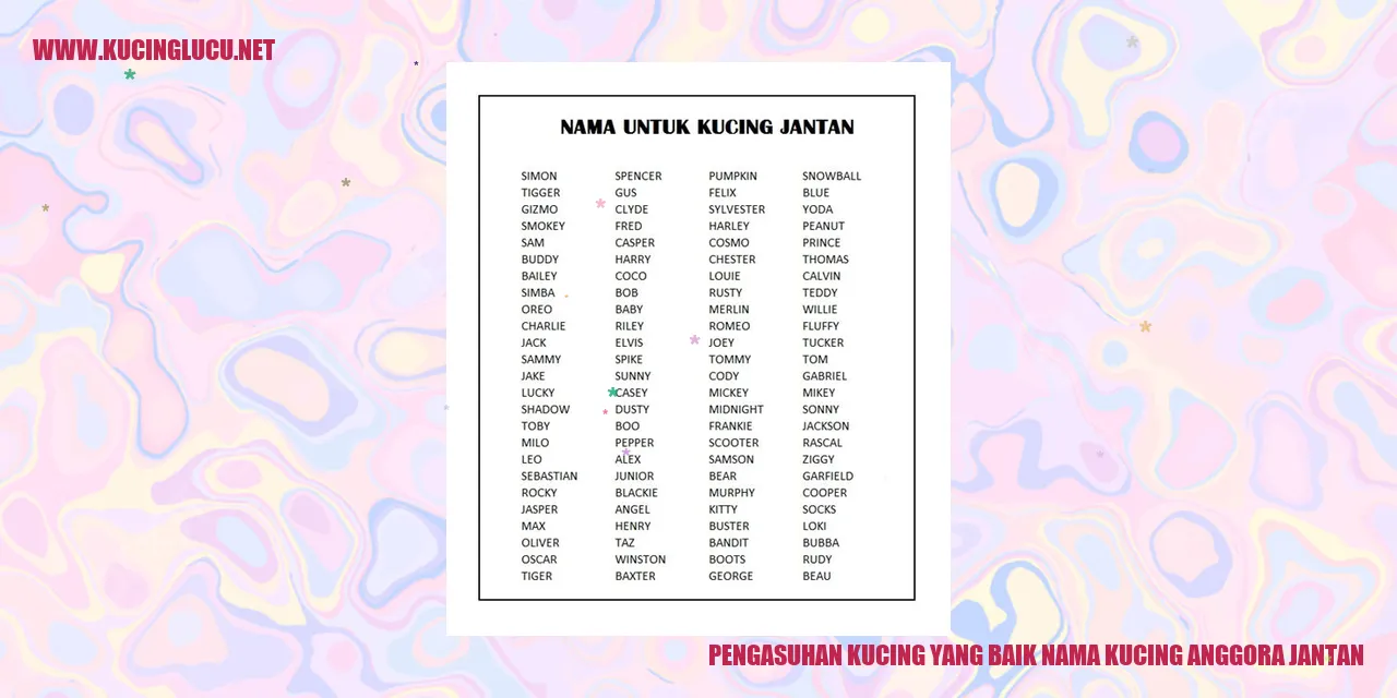 Gambar kucing anggora jantan